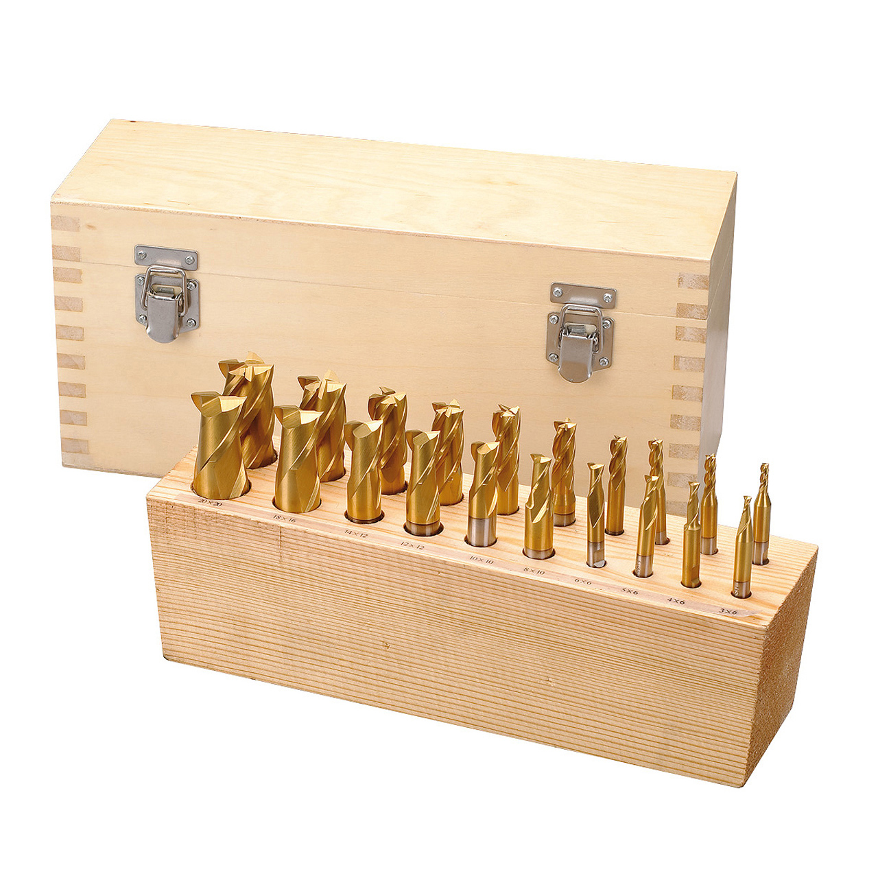 Coffret de 20 fraises TITAN Bernardo