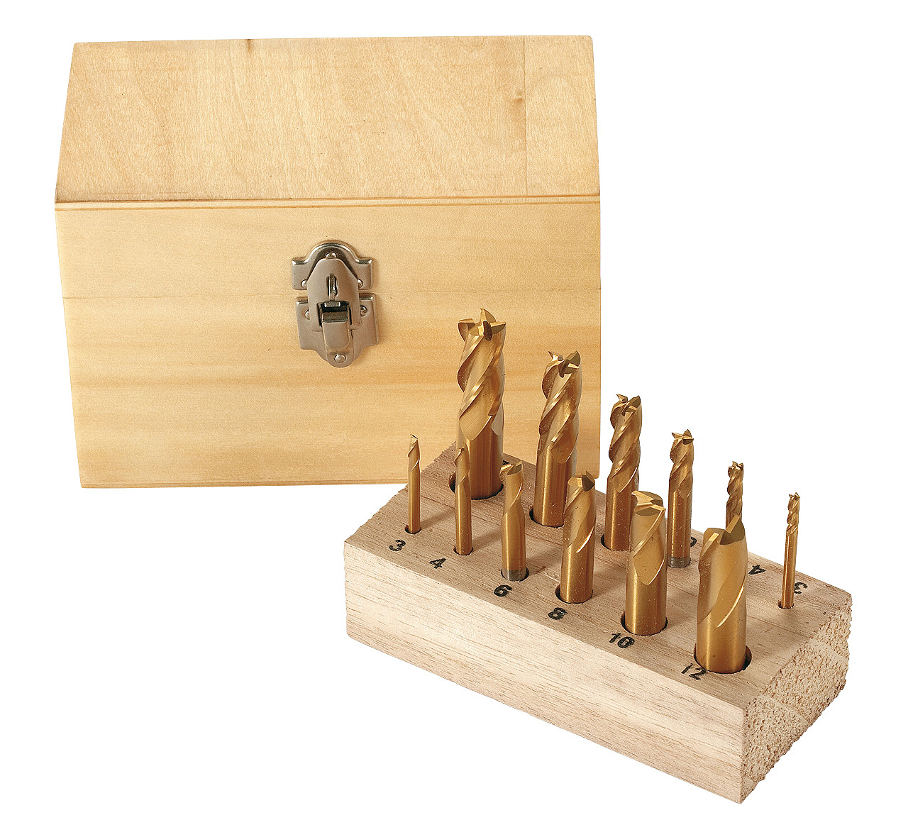 Coffret de 12 fraises TITAN Bernardo